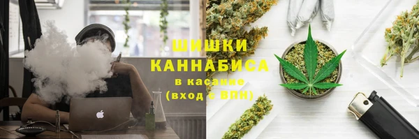 ПСИЛОЦИБИНОВЫЕ ГРИБЫ Верхнеуральск