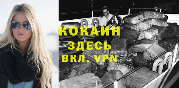 дживик Бородино